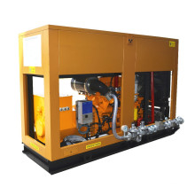 Groupe électrogène de moteur de carburant de gaz naturel 200kW 250kVA